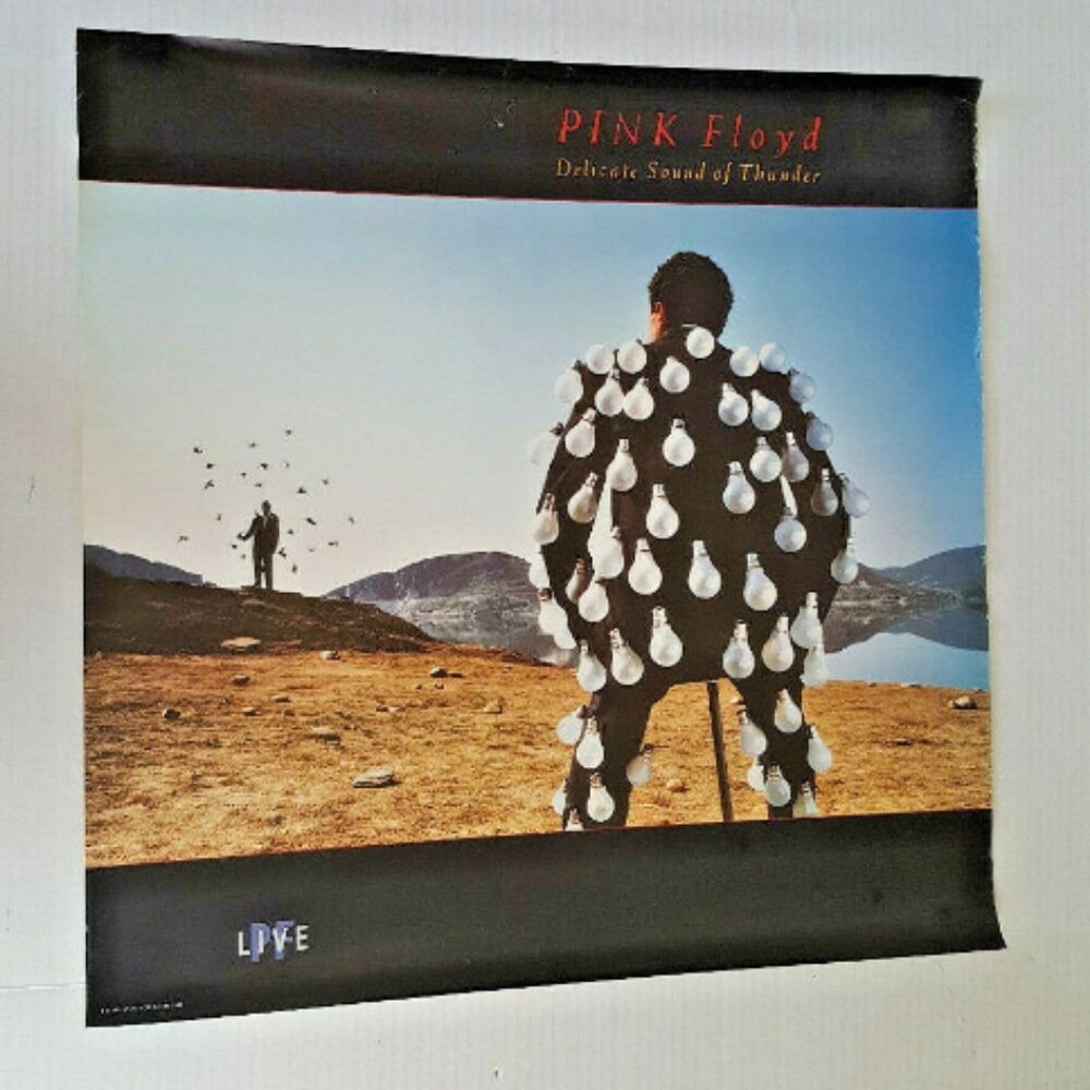 PINK FLOYD Delicate Sound Of Thunder POSTER VINTAGE PROMO RECORD RETAIL 1987 CBS